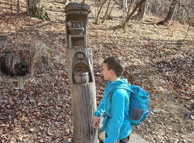 奥尔米旅馆 招待所